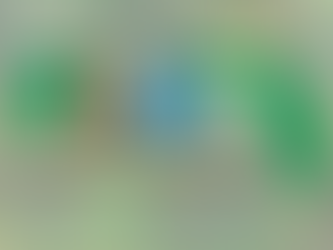 Florida Landowners Association is Built on American Fundamentals