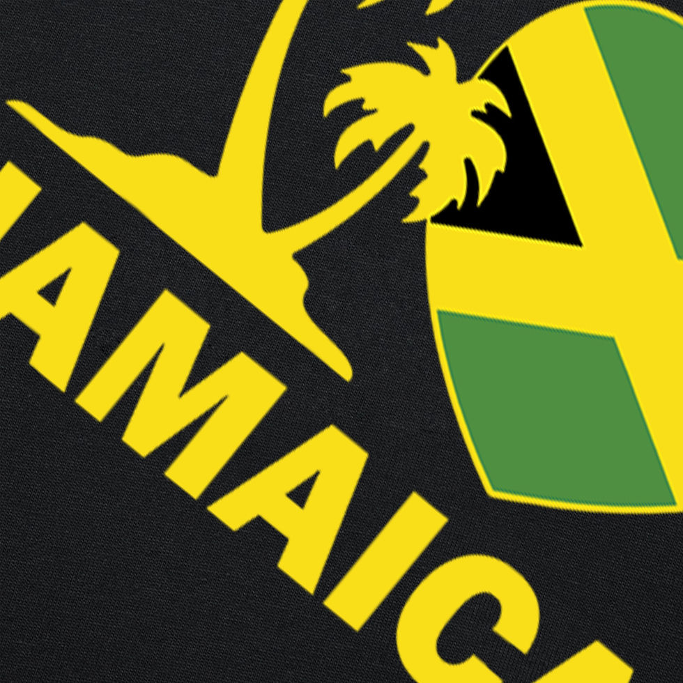 Thumbnail: Funny Jamaica I love Jamaican Flag Heart 100% Cotton T-shirt Men Fashion Print L
