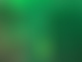 Ragga Lox Makes On WYFL Track