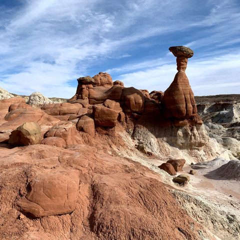 toadstool hoodoo