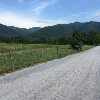 cades cove road and mountains