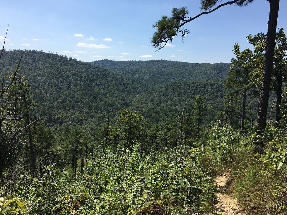 looking over to some mountains with trail in front