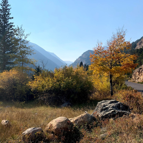 colorful fall aspens with mountain ridges in the background