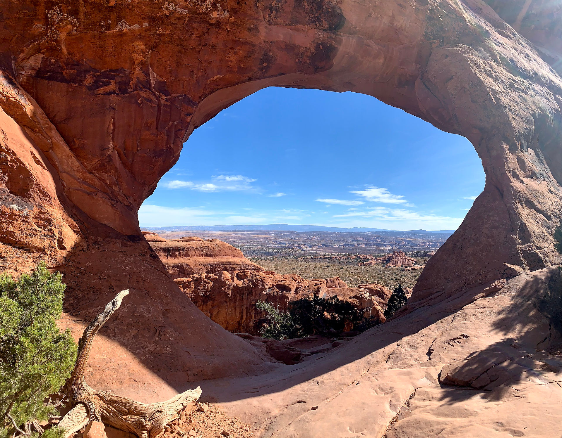 partition arch
