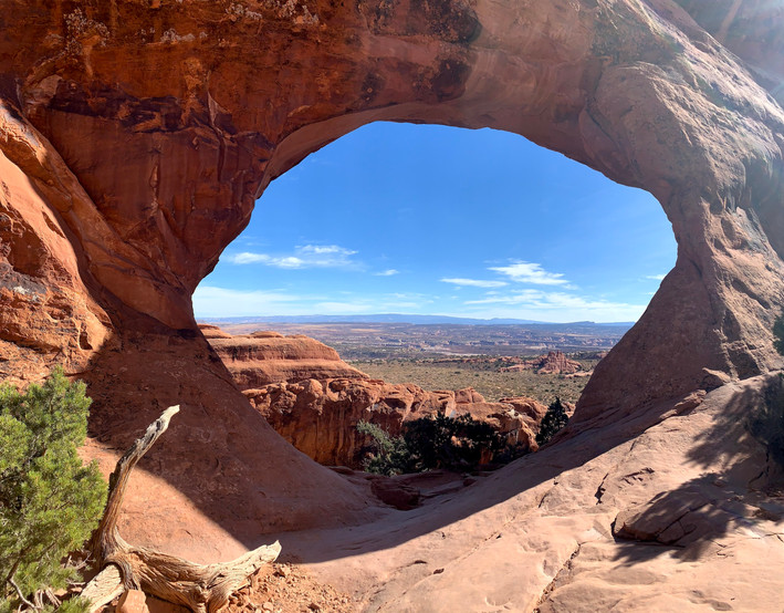partition arch