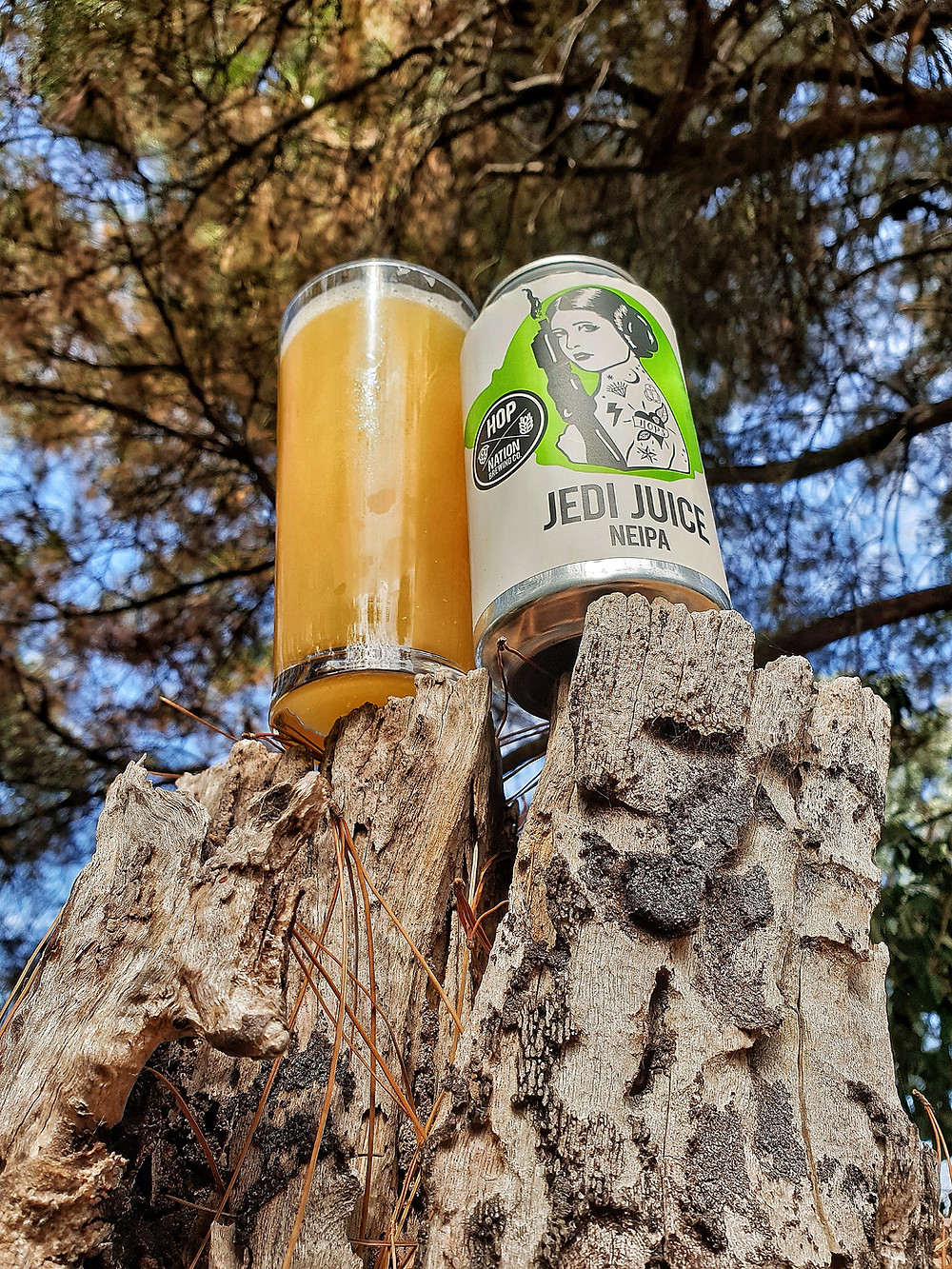 NEIPA Beer