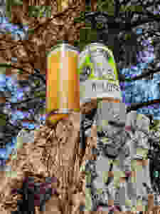 NEIPA Beer