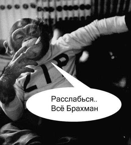 Просветленная обезьяна