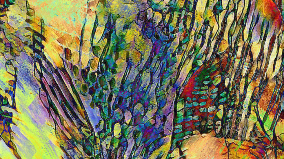 Vibrant Abstract Paintings