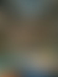 Six bookstores in Mumbai worth visiting