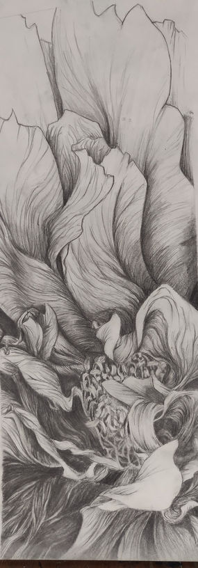 2018-08-01 18.17_edited.jpg