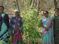 6,671 small-holder women farmers in Karnataka receives Forest Stewardship Council (FSC®)- Forest Management Certification for privately owned bamboo plantations