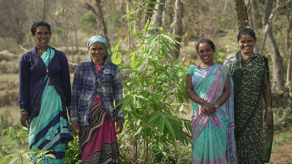 6,671 small-holder women farmers in Karnataka receives Forest Stewardship Council (FSC®)- Forest Management Certification for privately owned bamboo plantations
