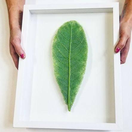 Fused-glass-art.jpg