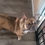Thumbnail: Ellie Mae