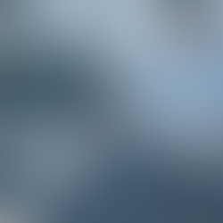 Comprar Carro em Concessionária ou de Vendedor Particular? Qual é a melhor escolha?