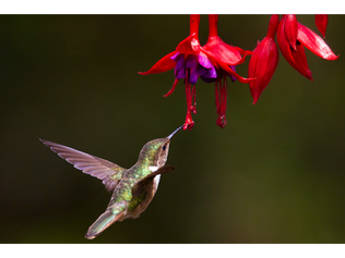 Are Your Sales Humming Along?