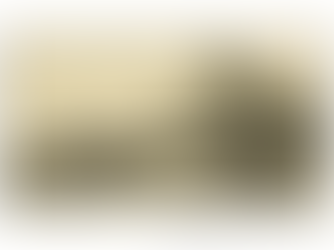 Faster Horses and Better Buggy Whips