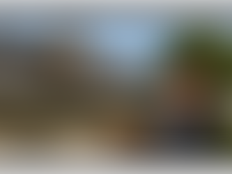 Forecast Category – License to Shill