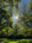 IMG_0659.jpeg