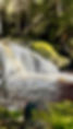 IMG_7593.jpeg