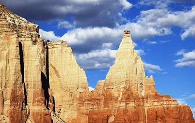 Screen Shot 2021-07-30 at 11.31.45 AM.png