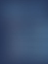 Il nostro bilancio 2025: oltre 1000 ore al servizio degli altri