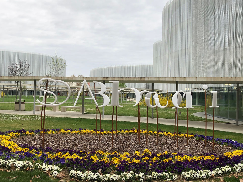 College Insights - Università Bocconi / Bocconi University