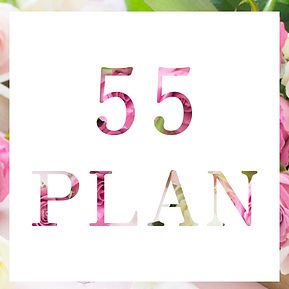 サービス・料金_55plan.jpg