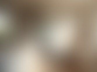 How to Plan Your Next Home Renovation Project