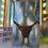Miniature : G-String Lycra Isabella Prado