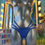 Miniature : Spider Suzane d'Blue