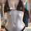 Miniature : Bikini Carla
