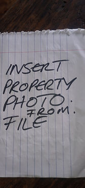INSERT PHOTO.jpg