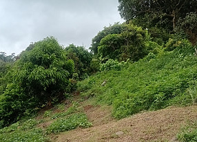 Belmont Lot 3.jpg