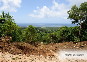 Land for sale Grenada Ahoma 4jpg