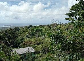 plot 2 coubarie (S91) hill view_edited.j