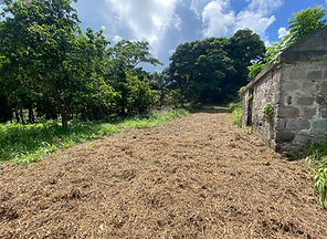 pointfield land for sale grenada st patrick8.jpg