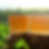 Thumbnail: Bonfire
