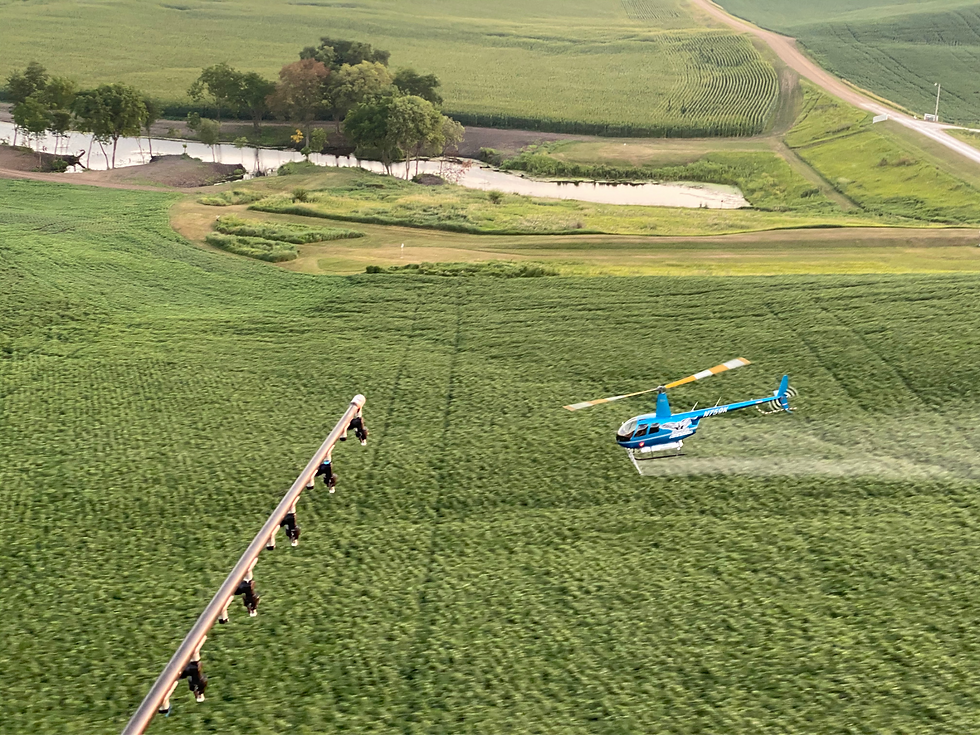 Thumbnail: 2008 Robinson R44 Raven II