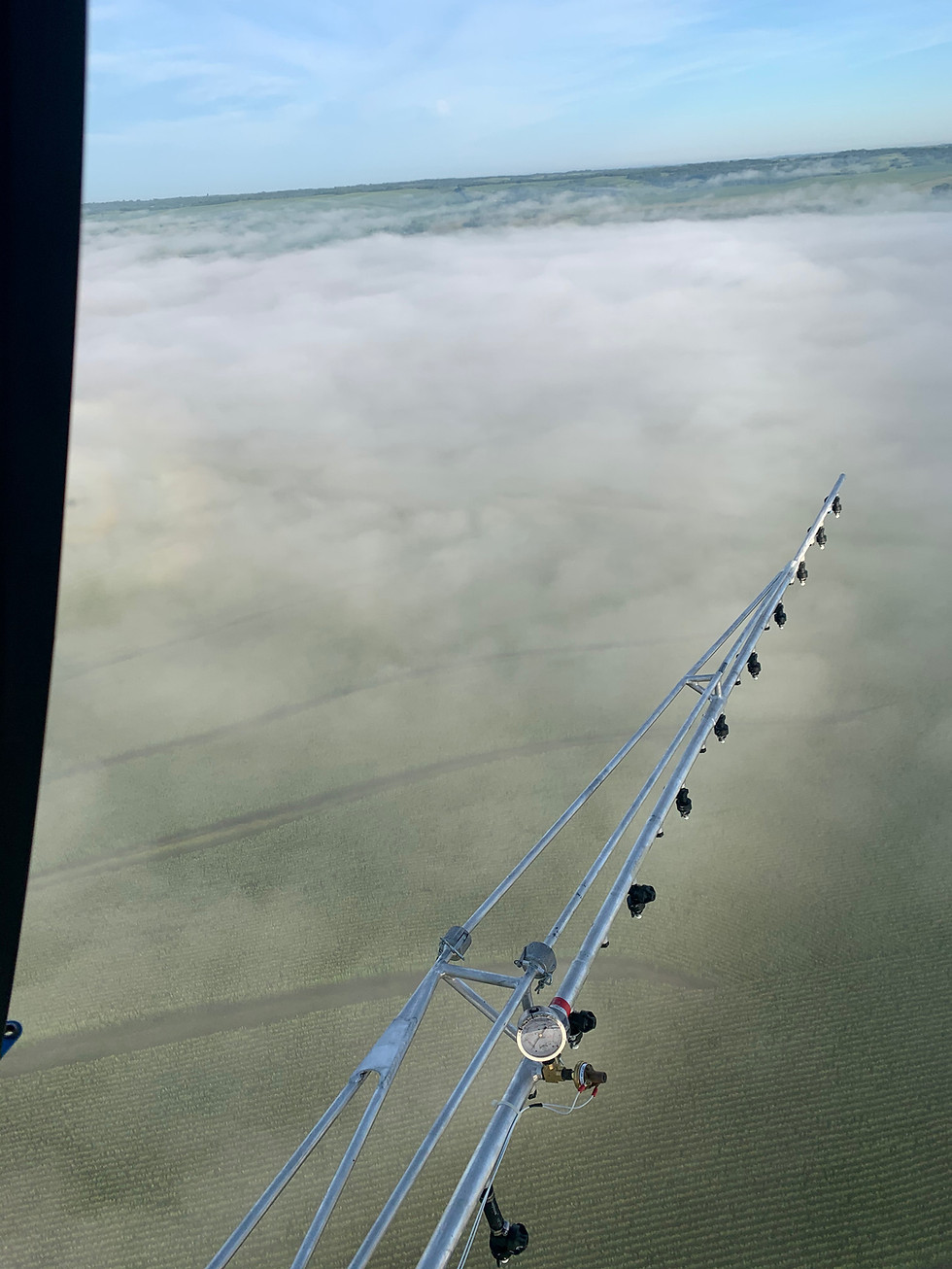 Thumbnail: 2007 Raven II