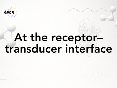 Text "At the receptor–transducer interface" with white molecular structures on a light background. Logo with multicolored circle pattern.