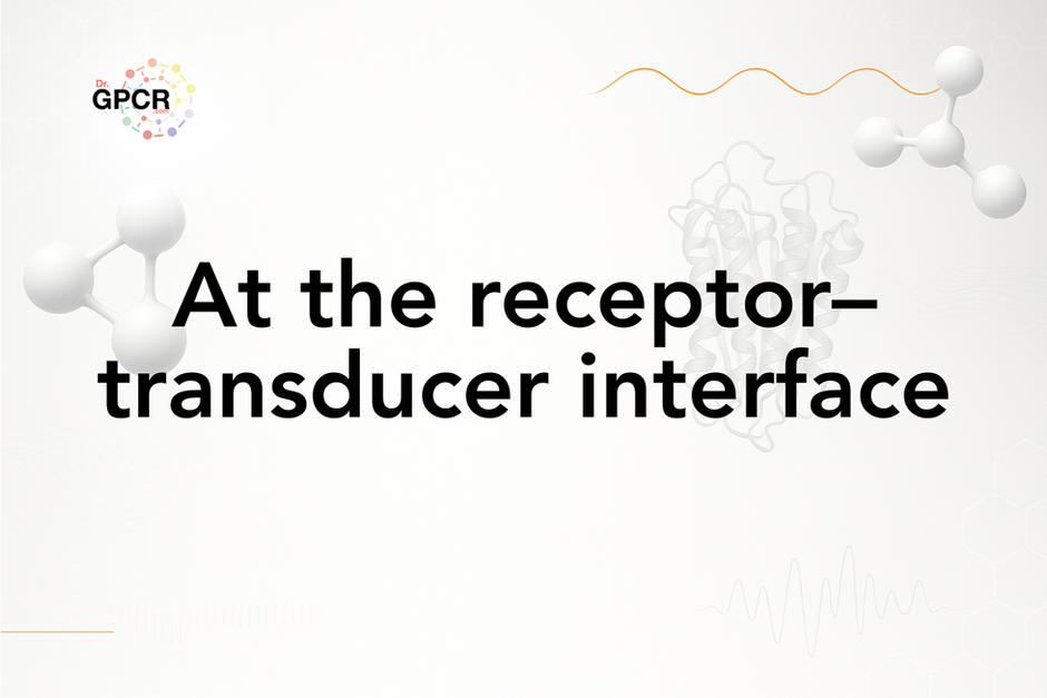 Text "At the receptor–transducer interface" with white molecular structures on a light background. Logo with multicolored circle pattern.