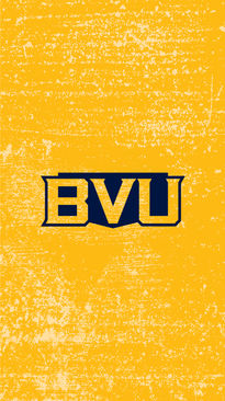 BVU Spirit-Instagram Highlights-2021-wallpaper-5.jpg