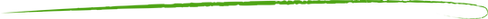 Vector 27.png