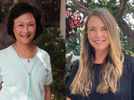 Meet DMCC’s New 2026 Board Members!