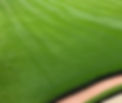 Kingswork gardener lawn mowing