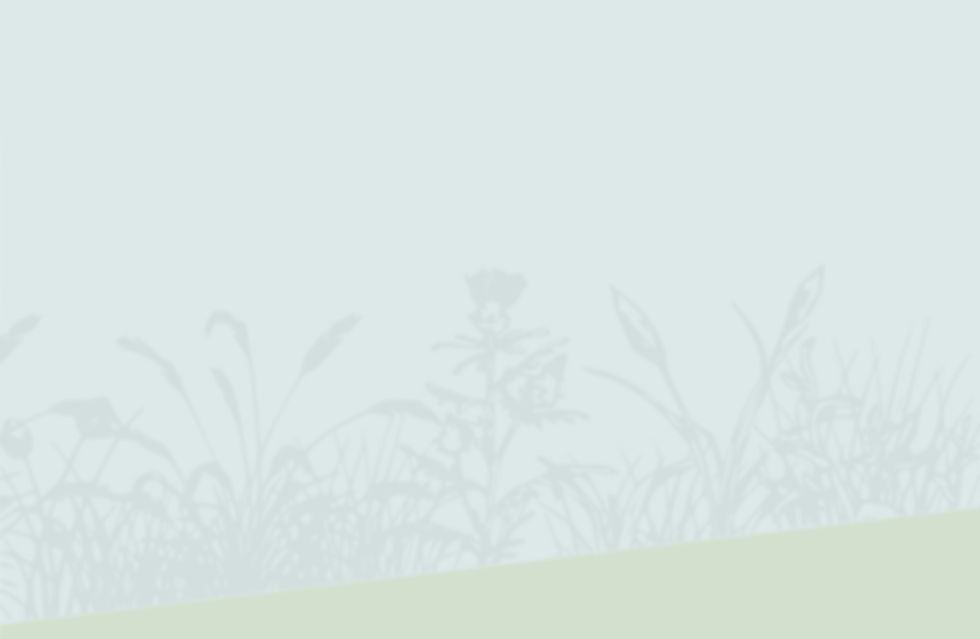 reeds-contact-1.jpg