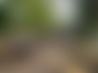 Ehemaligentreffen 2025