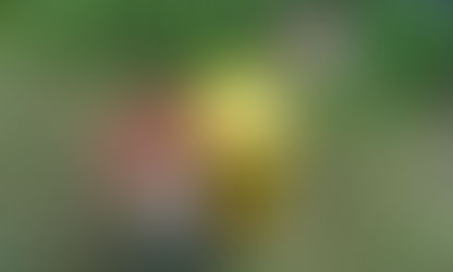 K-Rail : A teeth for a stone ? 